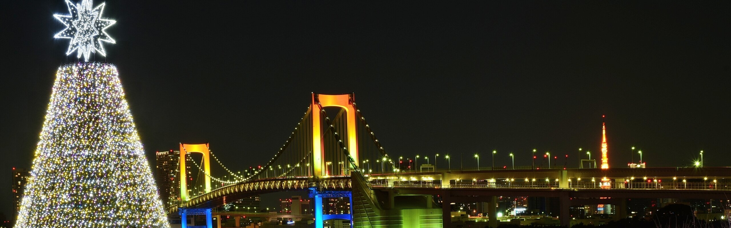 Visiting Japan During Christmas: Travel Tips to Know Before You Go