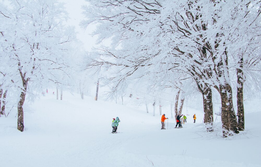 tour to ski in nozawa onsen ski resort