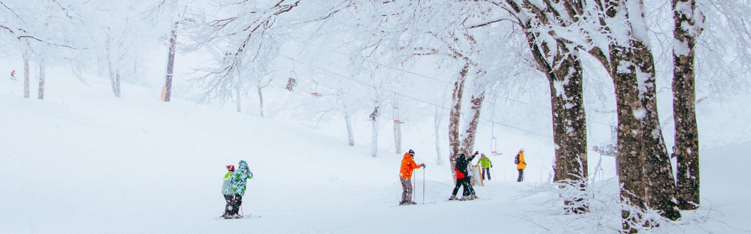 8-Day Tokyo Highlights and Nagano Skiing Tour