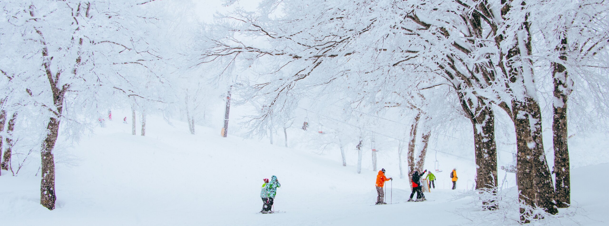 Nozawa onsen ski resort