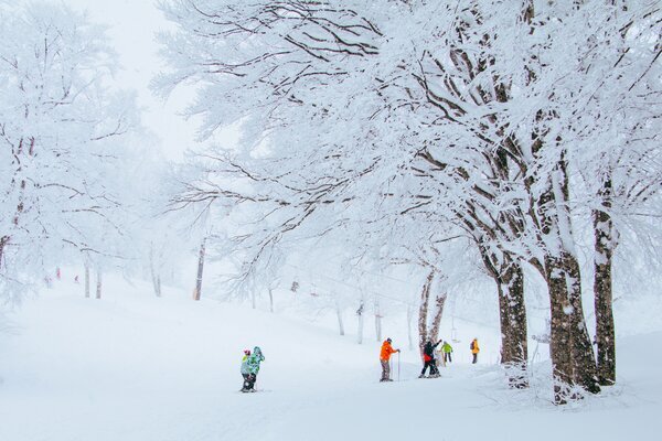 Family ski holiday