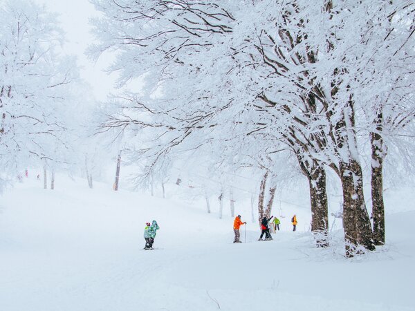 Ski in Japan