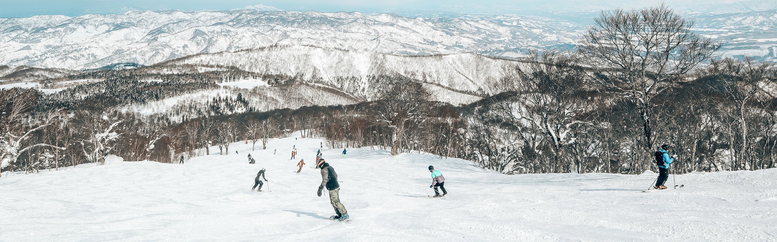 Private Japan Ski and Snowboarding Tours 