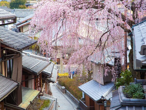 Gion district