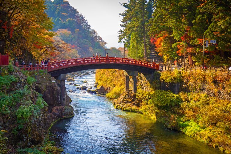 Japan in Autumn - Travel Tips for Visiting Japan in Fall 2026