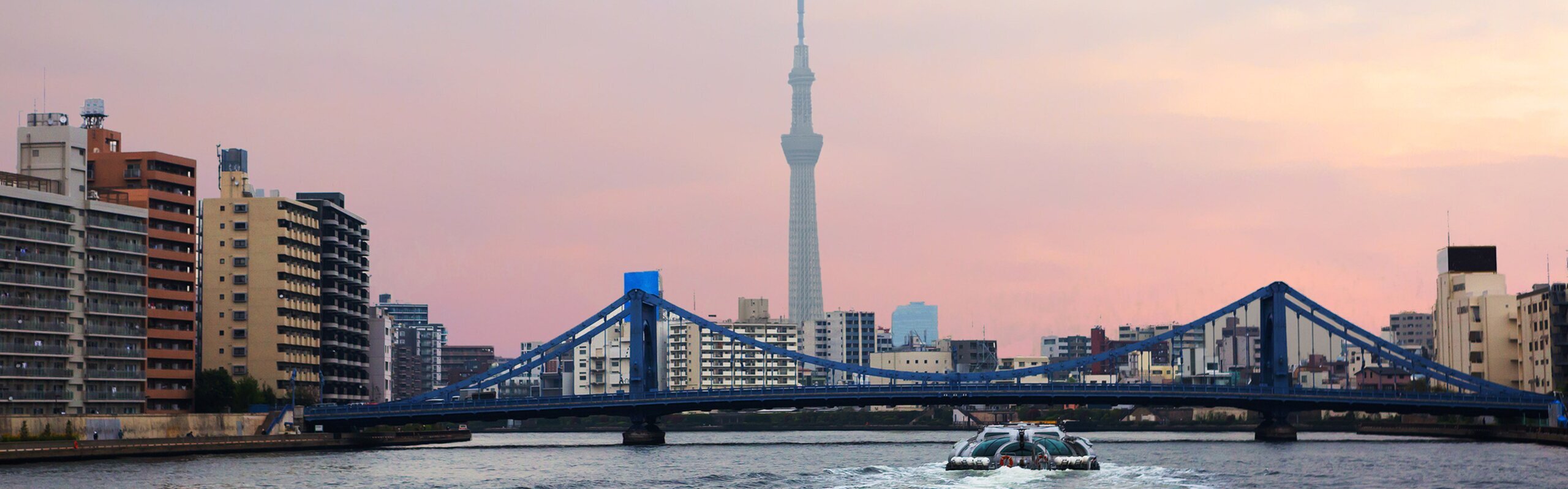 5-Day Tokyo Highlights and Hakone Leisure Tour