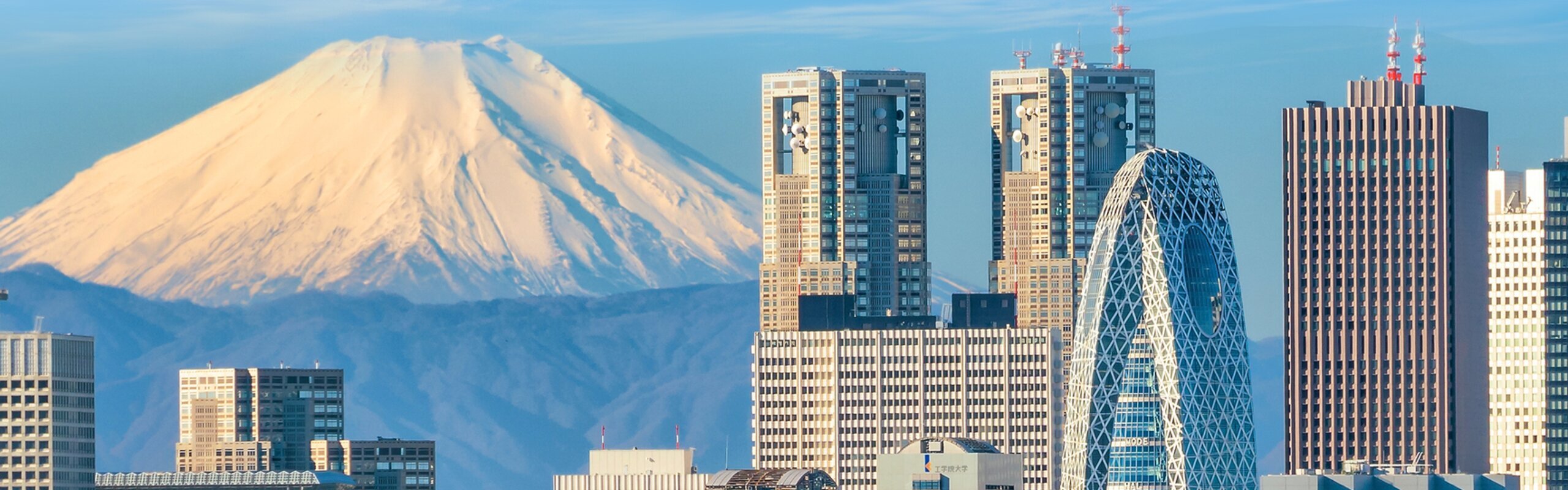 Private Tokyo Tours 