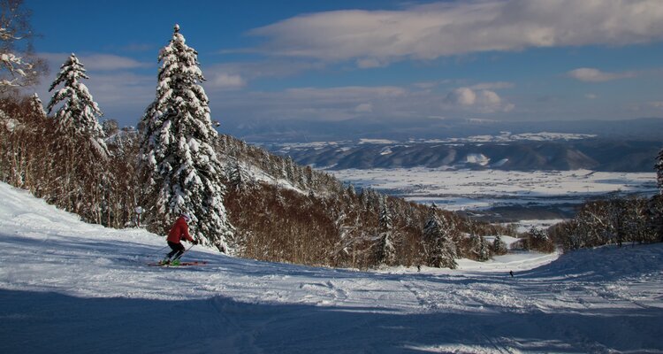 Skiing in Furano Ski Resort in Winter to Avoid Crowds in Niseko, Hokkaido Japan