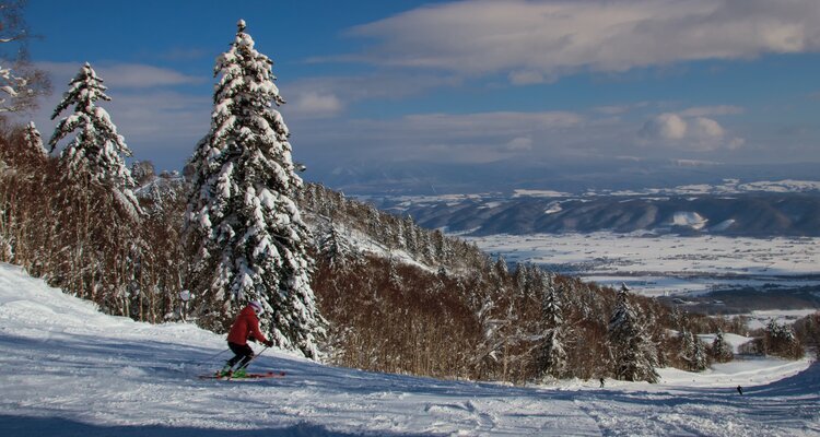 Furano Ski Resort