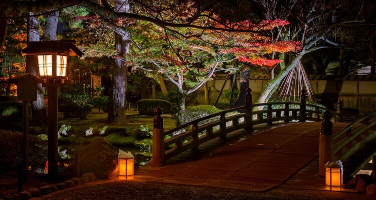 Illuminated Kenrokuen garden during momijigari season, Kanazawa city, Ishikawa prefecture, Japan