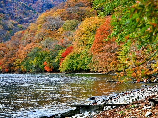 Hiking the southern shore of Lake Chuzenji