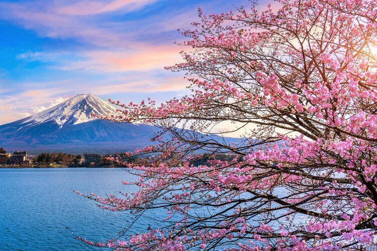 kawaguchiko spring