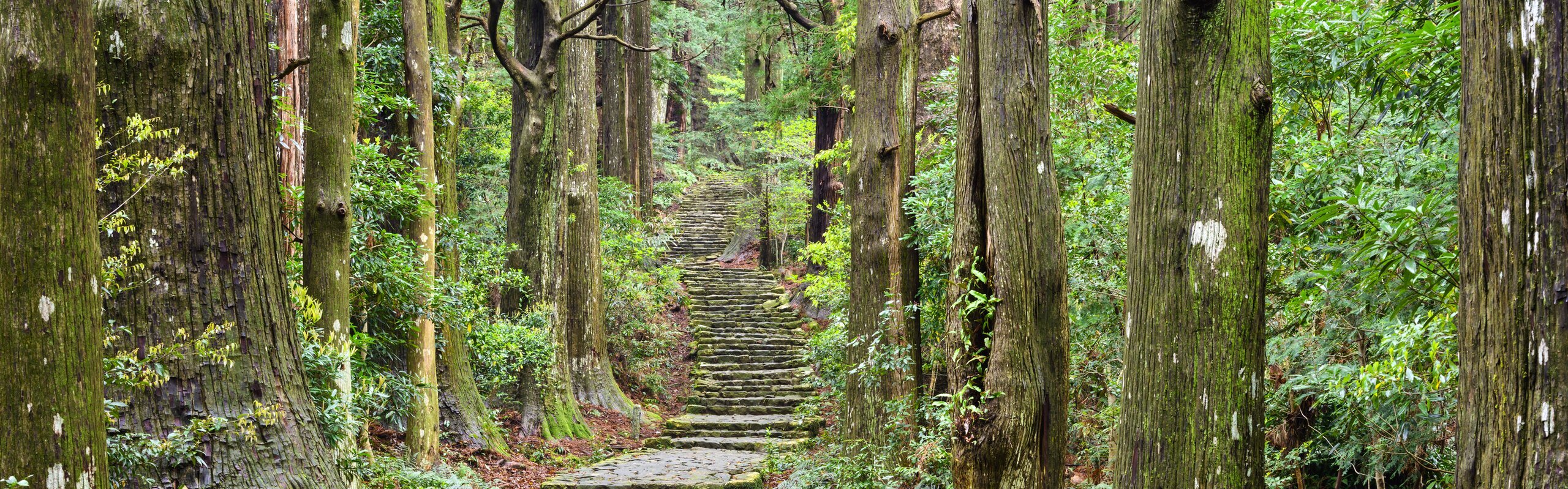 Kumano Kodo Trails: Your  Hiking Guide with Maps for the Best Routes and Tips