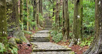 Kumano Kodo Hiking