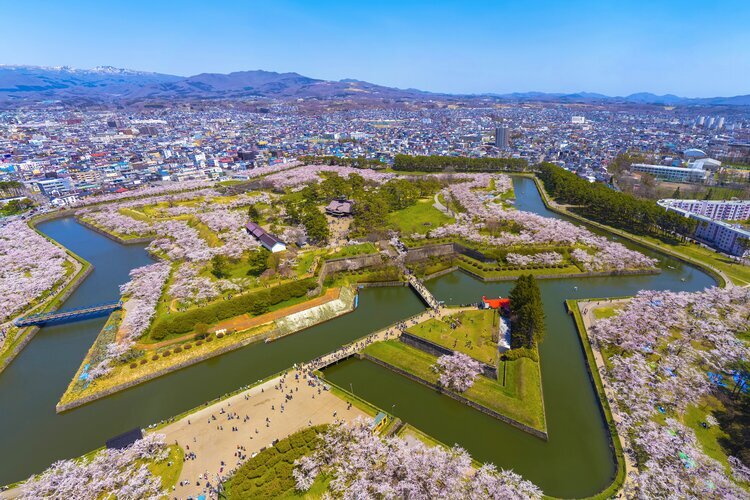 Kirschblüten in Hokkaidō