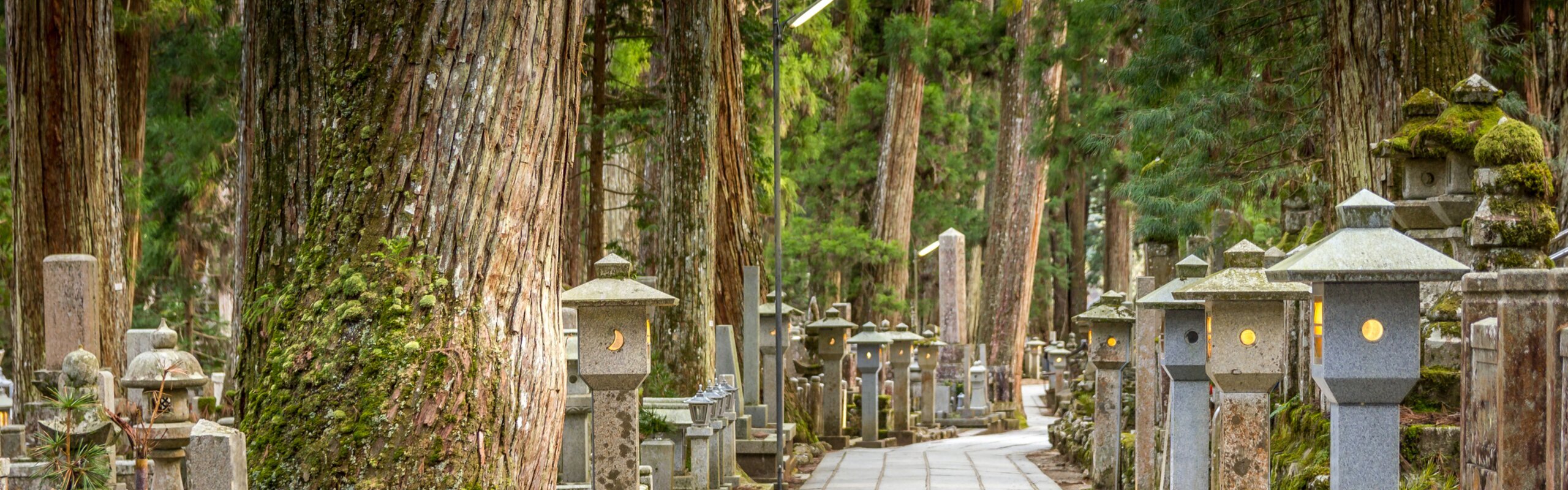 Mount Koya: a Guide to Visit a Sacred Site