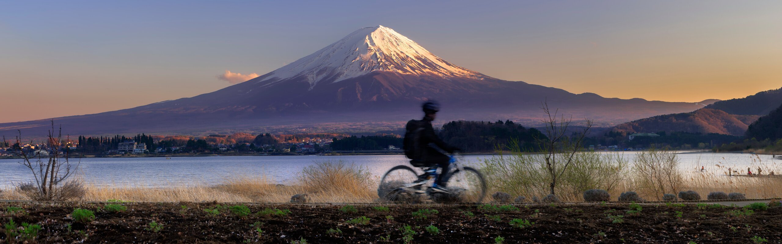 6-Day Tokyo and Kamakura Family Tour