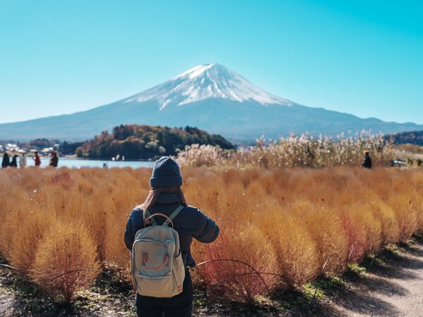 Oishi Park Lake Lake Kawaguchi