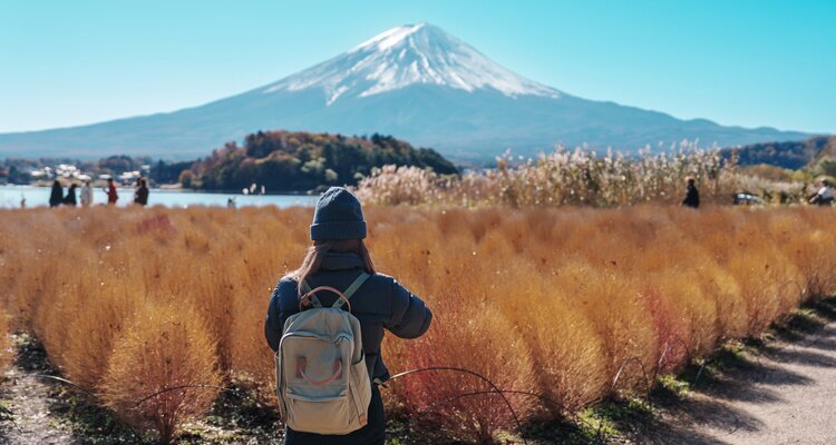 Oishi Park by Lake Kawaguchi