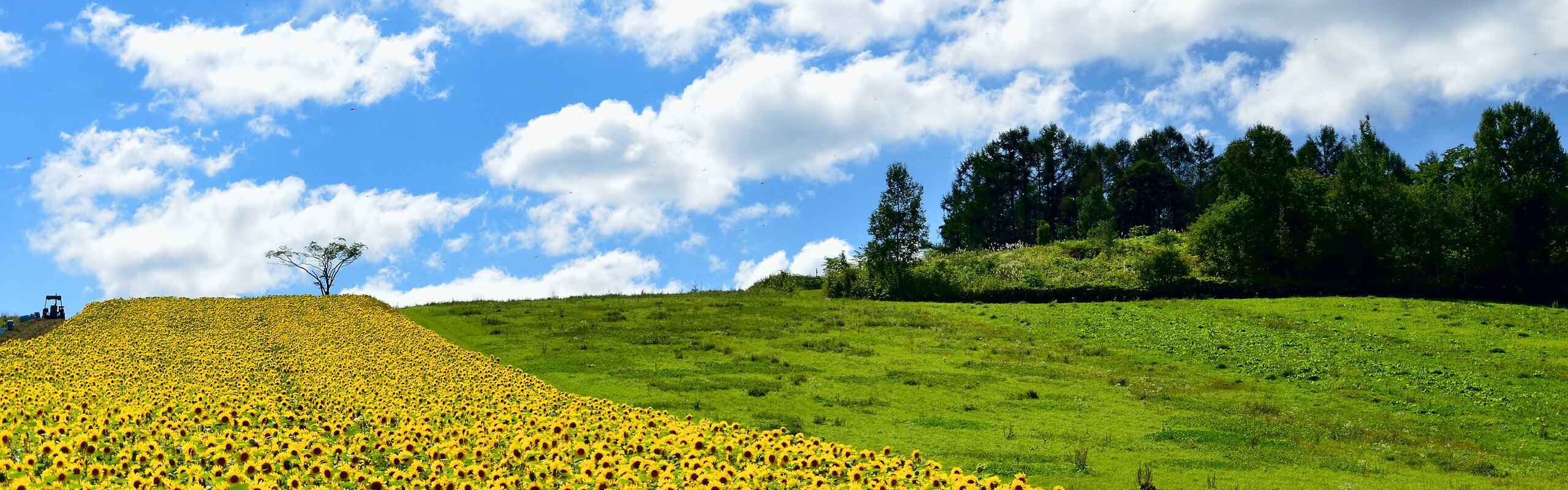 Best Times to Visit Hokkaido