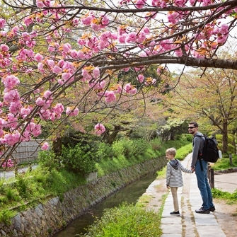 Japan family tour