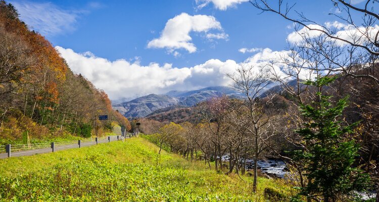 Weather in Hokkaido October Trends and Patterns