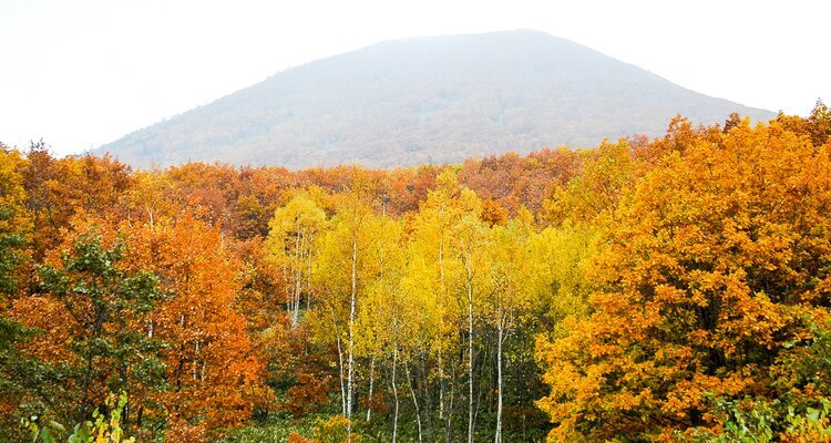 Hokkaido Weather in March, 2026: Cold, Last Month of Winter