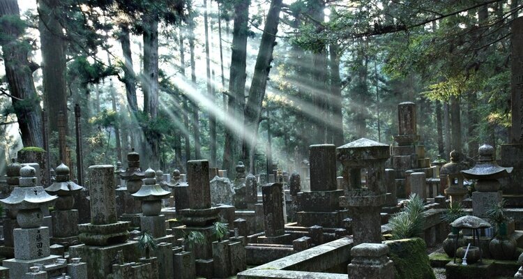 Mount Koya Travel Guide: How to Plan Your Trip to Mount Koya From Osaka