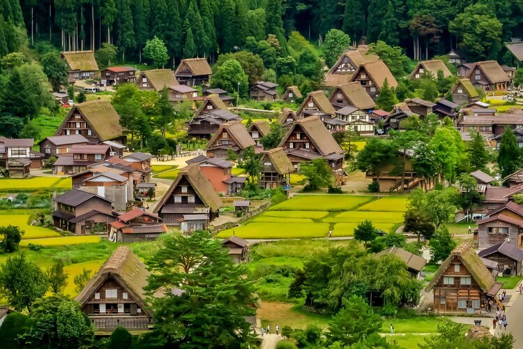 Traditional farmhouses in Shiragawa-go