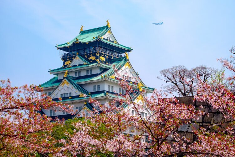 Osaka Castle with cherry blossoms
