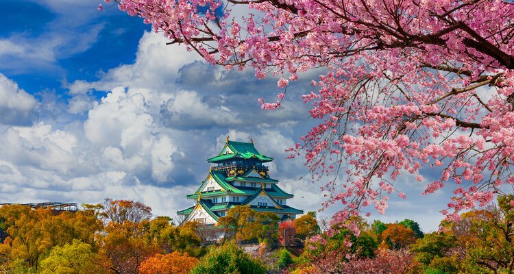 Osaka-Burg unter Kirschblüten