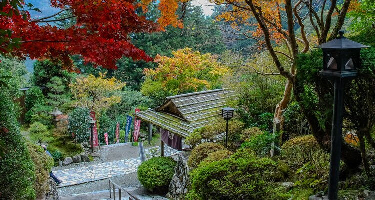 Shikoku's Temples