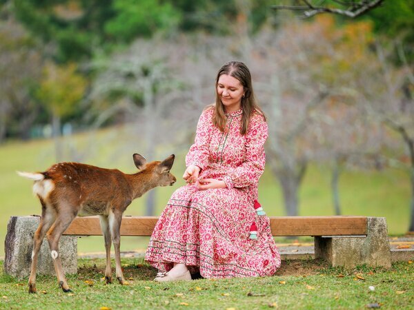 Encounter the gentle deer in Nara Park