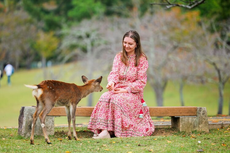 nara park and deer