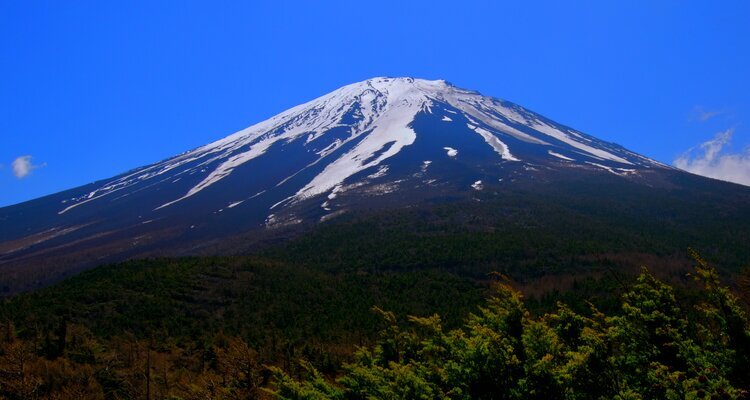 See Mount Fuji from the 5th Station