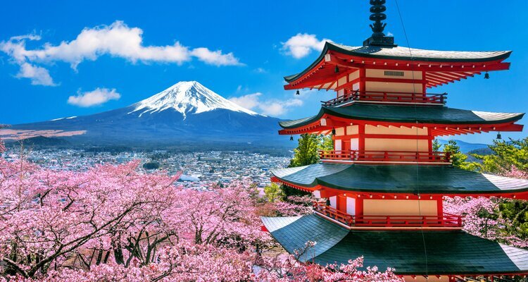 Arakura Fuji Sengen Shrine during cherry blossom season