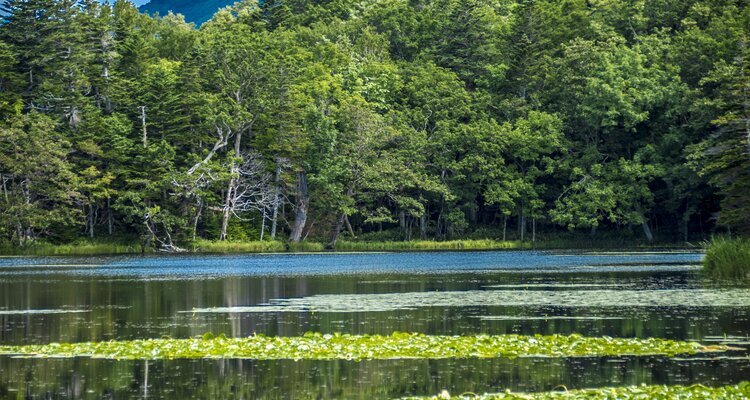 Hokkaido Weather in September Summary