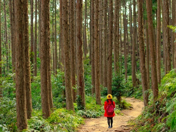 Kumano Kodo