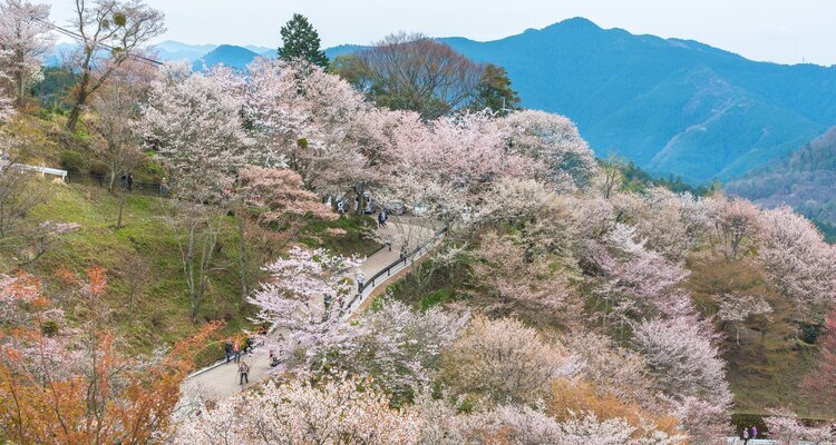 Yoshinoyama