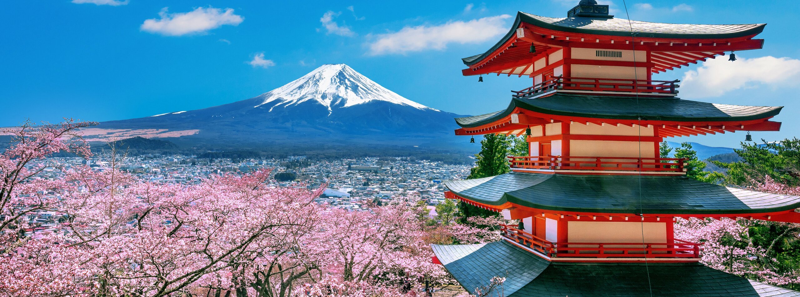 16-Day China and Japan Private Tour