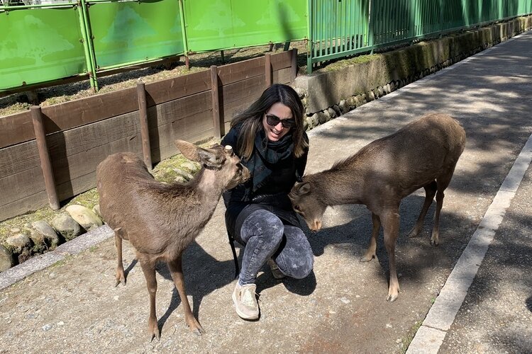 Some deer are not very friendly