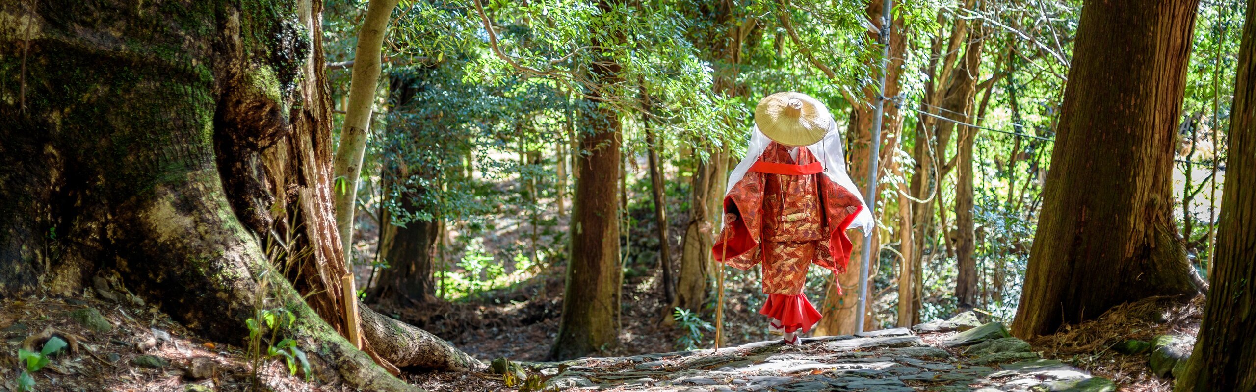 4-Day Koyasan and Kumano Kodo Walking Tour