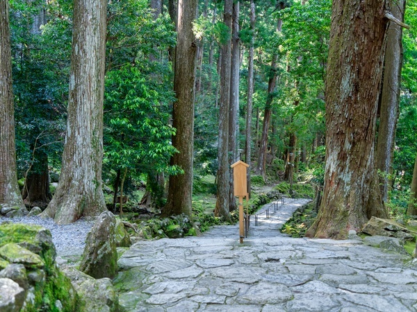 Kumano Kodo Nakahechi Trail