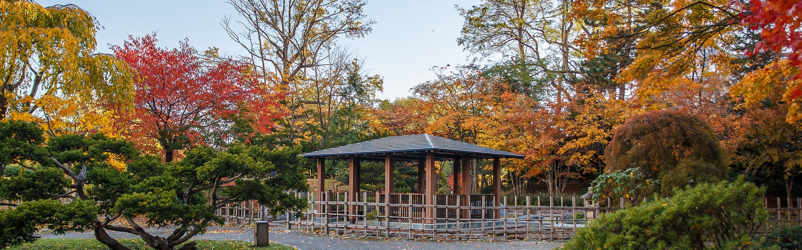 Hokkaido Fall Foliage 2025/2026: Best Time, Forecast & Travel Itinerary