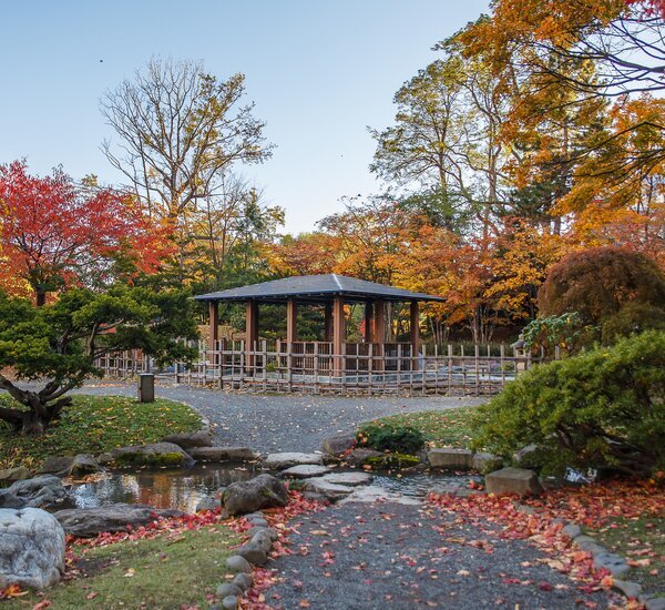 Hokkaido Fall Foliage 2026: Best Time, Forecast & Travel Itinerary