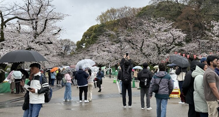 Menschenmengen im Ueno Park in Tokio Anfang April.