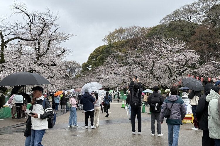 The crowds we saw at Ueno Park around noon