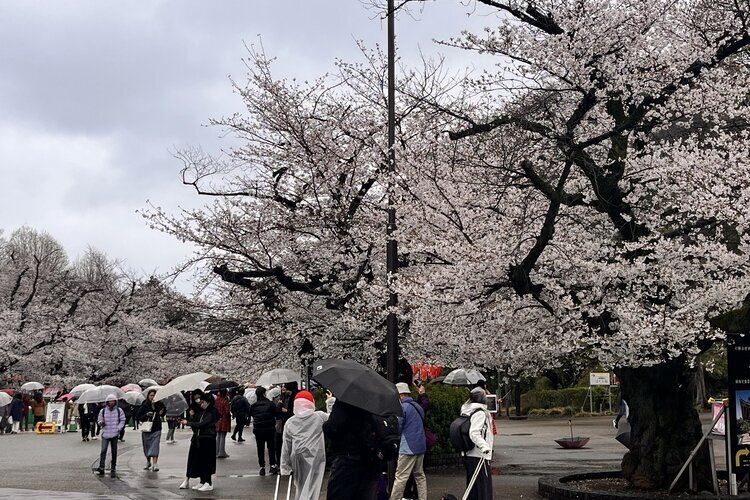 Ueno Park