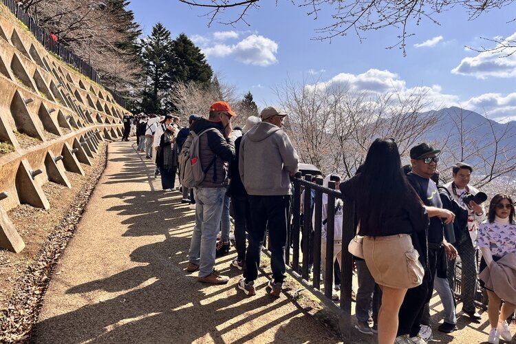 Eine Schlange wartet darauf, Fotos am Arakura Fuji Sengen Schrein zu machen