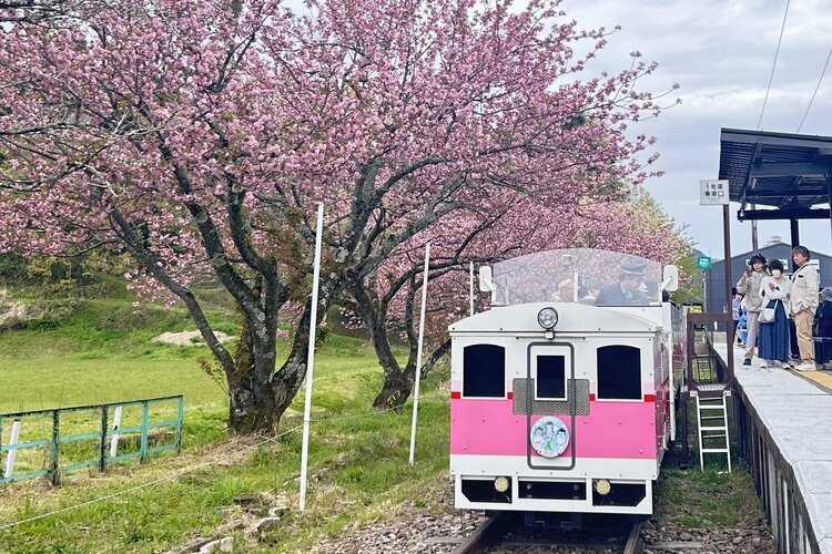 Takachiho Amaterasu Railway